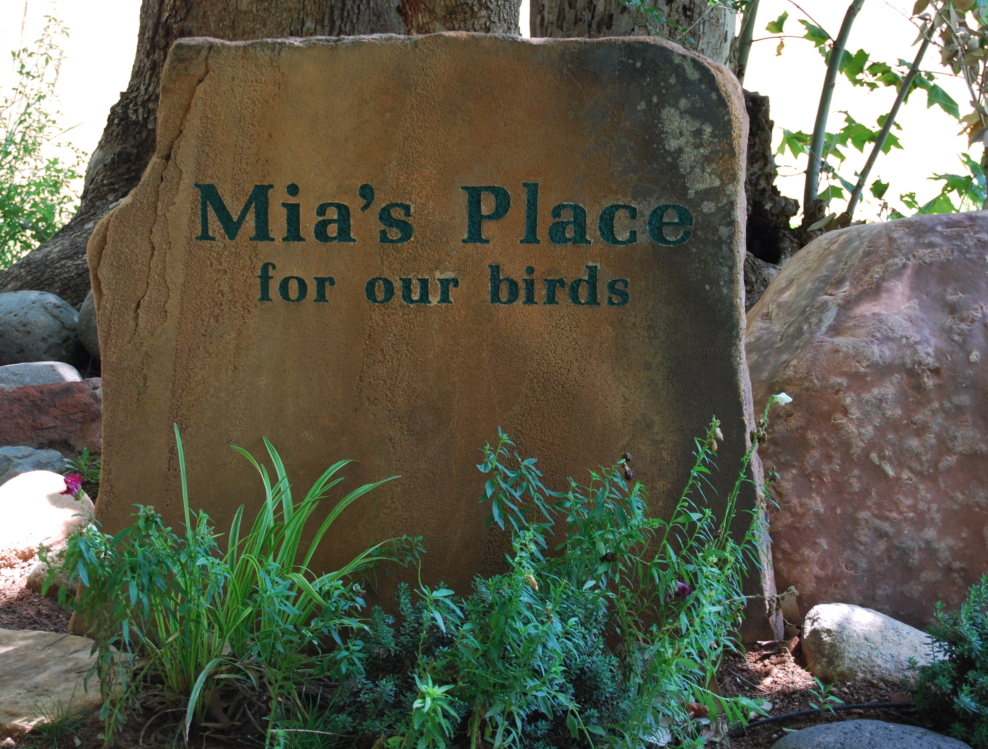 Mia's Place Wildlife Habitat171325.tmp/MIASIGN.JPG